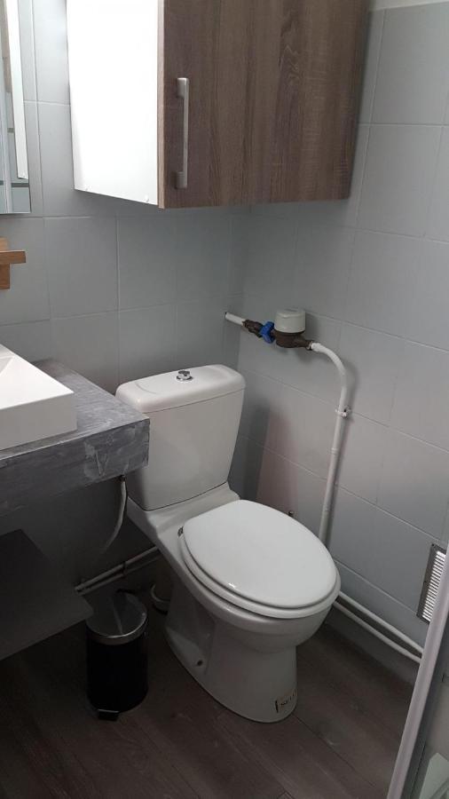 Apartamento Montagnes russes Grenoble Exterior foto